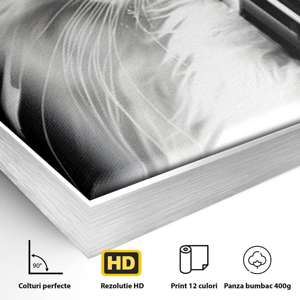 Detaliu al suprafetei: tablou canvas cu pisica alba si ochi albastri, in rama de aluminiu argintiu